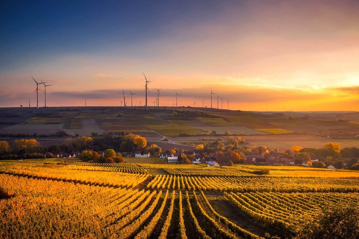 entreprises agricoles