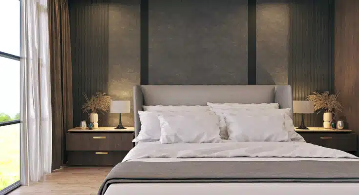 Désinsectisation des punaises de lit par des experts : une solution efficace !