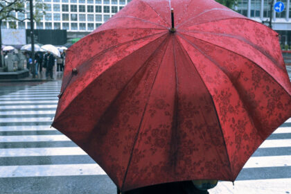 Redécouvrir le parapluie : l’accessoire entre tradition et modernité